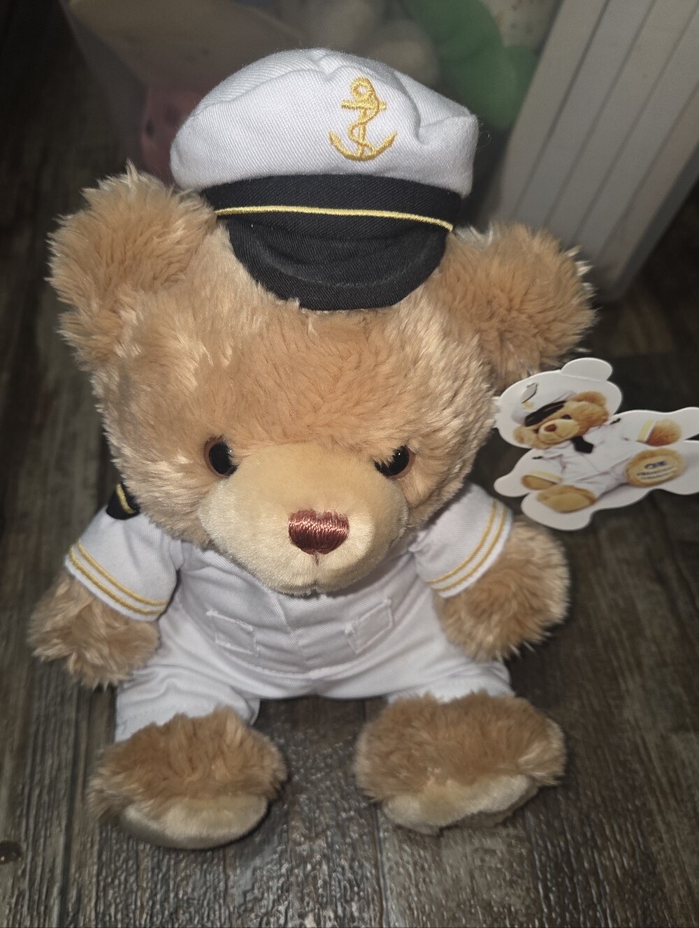 Princess Cruises Stanley Teddy Bear Plush Stuffed Animal 15” Captains Outfit